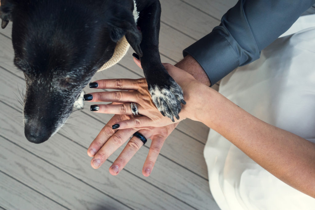 bride and groom and puppy