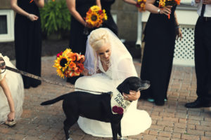 bride and her dog